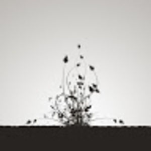 Meet your Posher, Calley